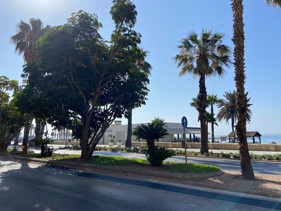Apartamento Exclusivo Bajo Frente Al Mar - Playa La Caleta *
