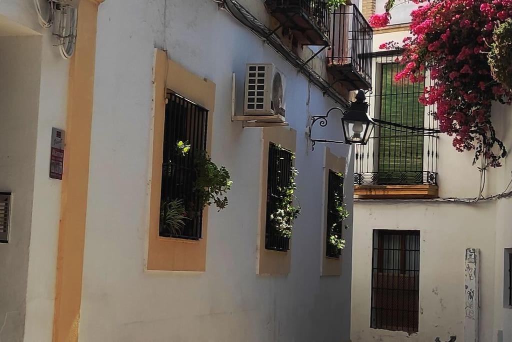 Apartamento Sara Homes Juderia Wifi Y Patio Cordobes Privado