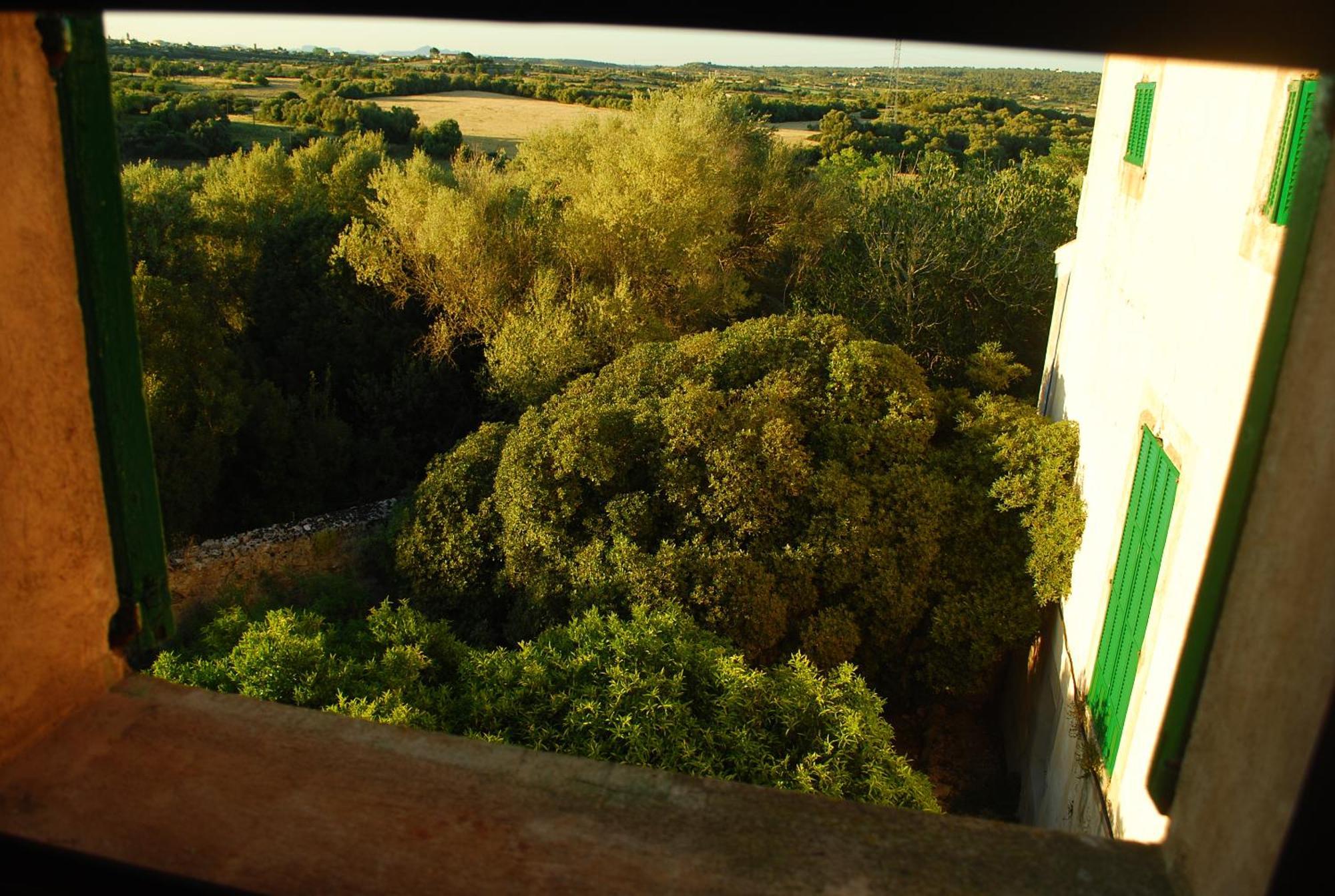 Son Sant Andreu Agroturismo