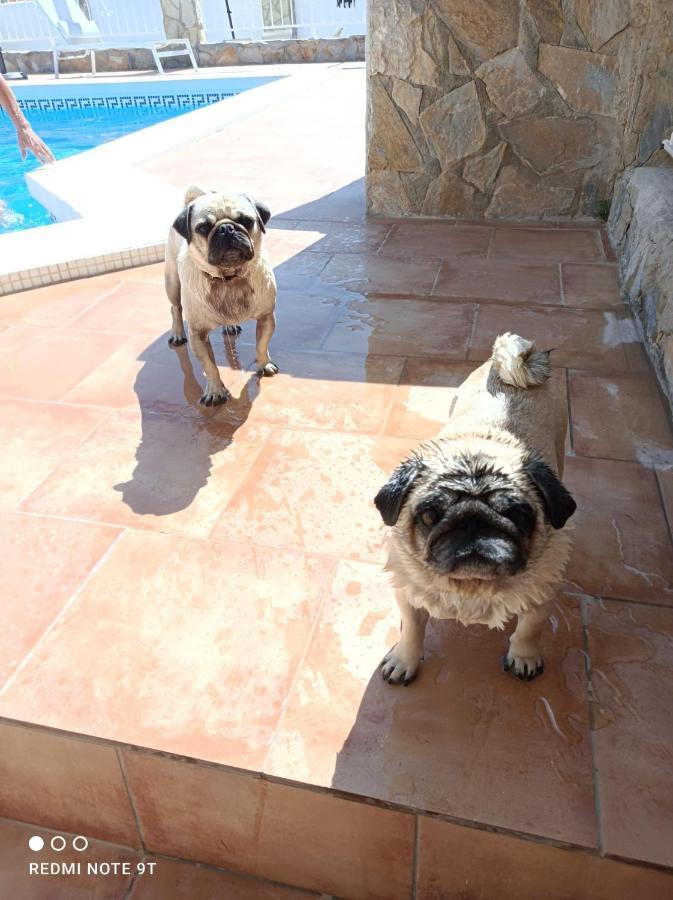 Mobilhome Costa Del Sol Holiday park *