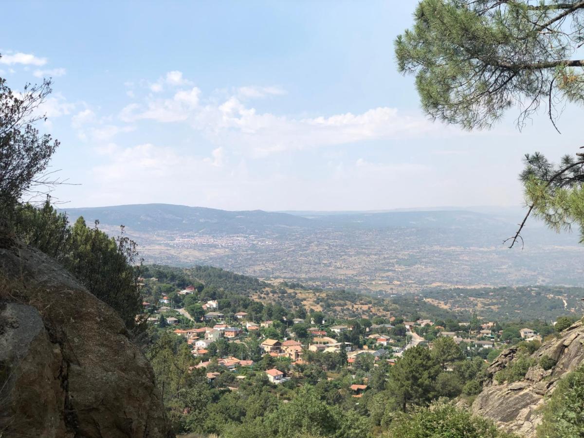 En El Corazón De La Sierra De Gredos, Pinar De La Atalaya-tiemblo *