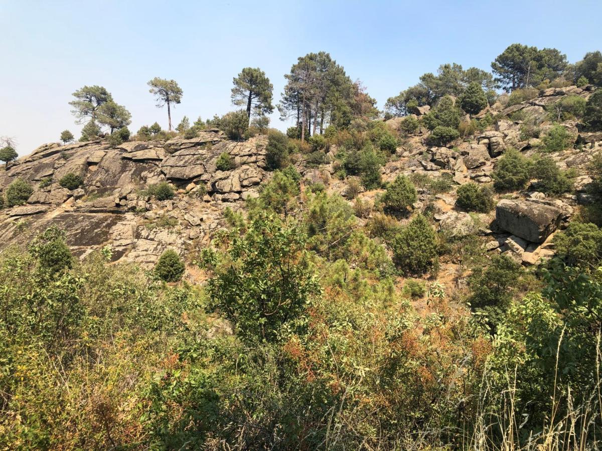 Сasa de vacaciones En El Corazón De La Sierra De Gredos, Pinar De La Atalaya-tiemblo *