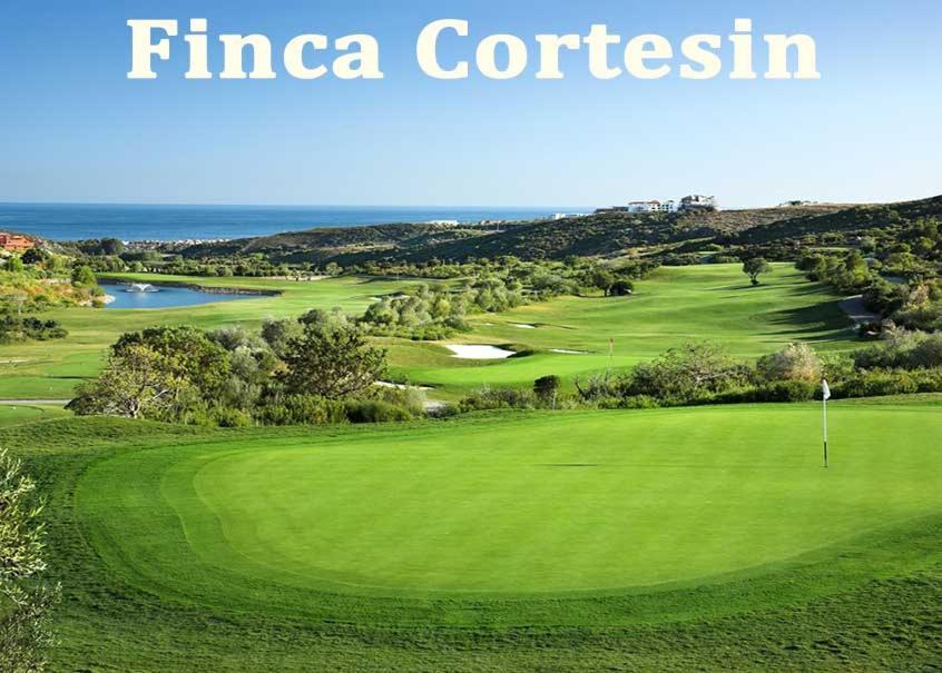 Modern Walking Distance From The Villa