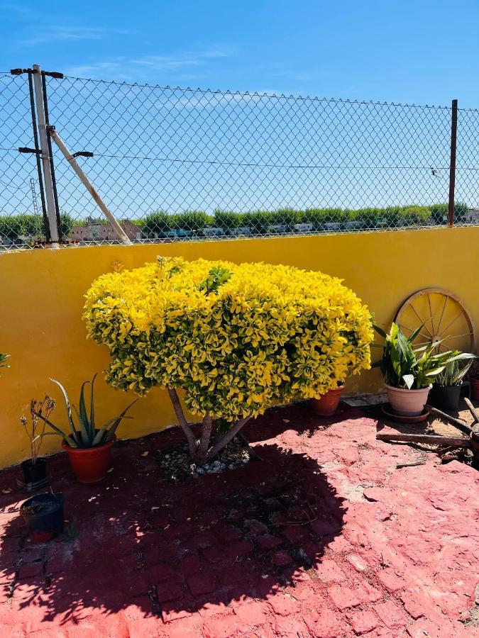 Сasa de vacaciones Guadalupe Moncofa (Moncófar)