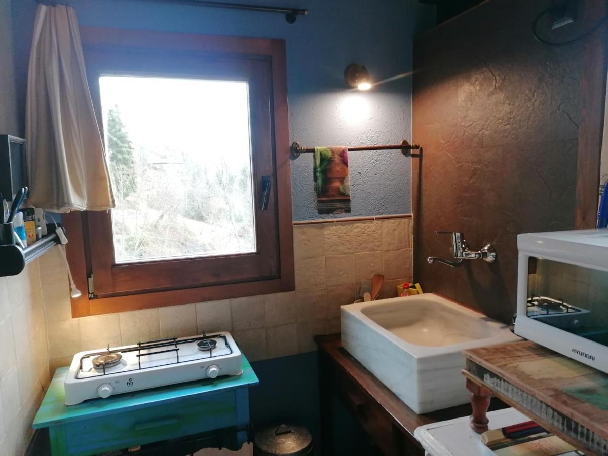 Apartment Els Pins D'abella Camprodon