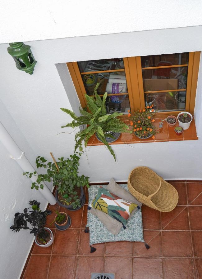 Casa Tipica Y Terraza, Maison Andalouse, Typical House With Rooftop Holiday home