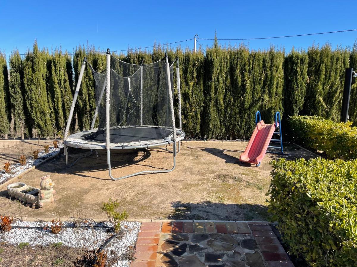 Attic Nature En Albacete *