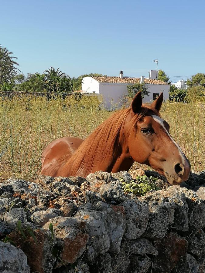 Apto. S'aigua Dolca 2 Son Carrio (Menorca)