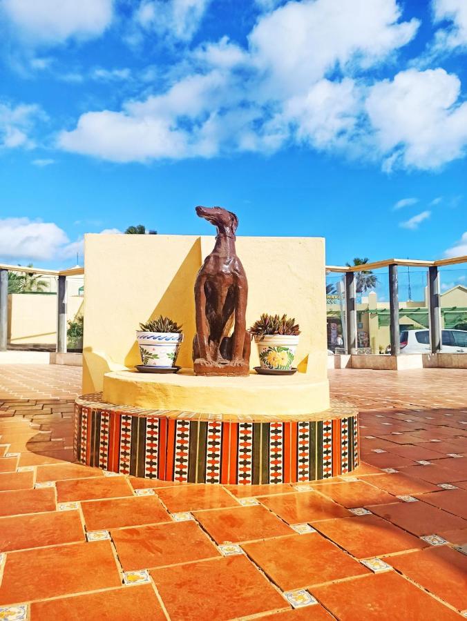 Apartamento Caleta Paraiso 127 *