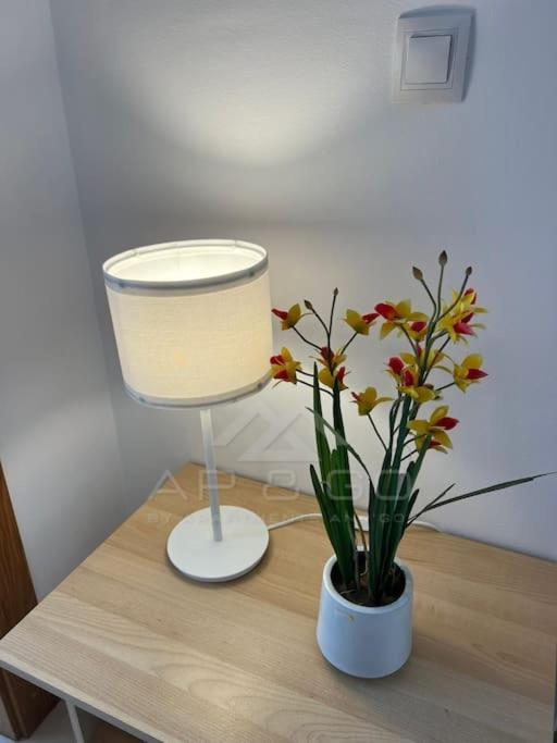 Apartment 5 Square *