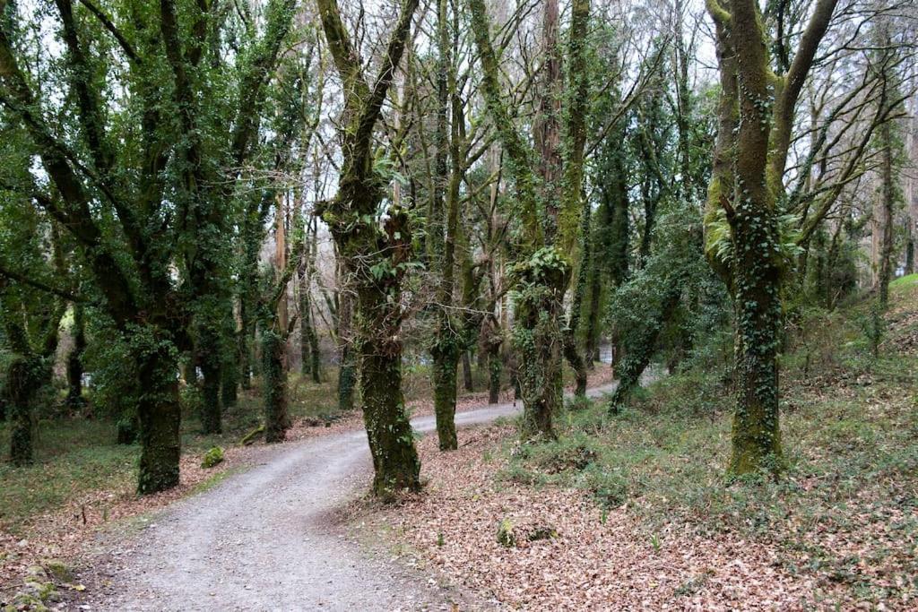 A Casa Da Moreira - En Ponte Maceira *