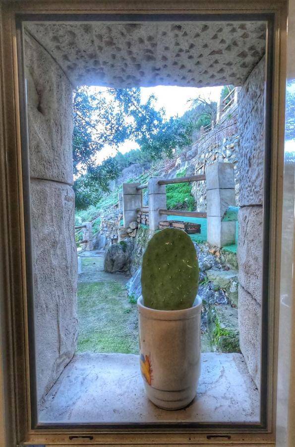 Paraiso Apartment
