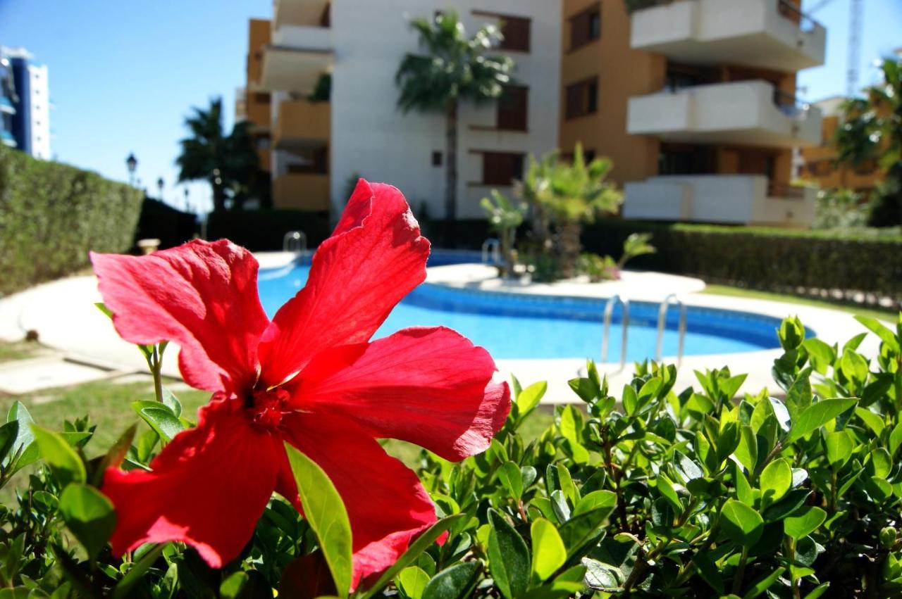 Apartamento Parque Recoleta 2 Piscinas - Cerca De Playa *