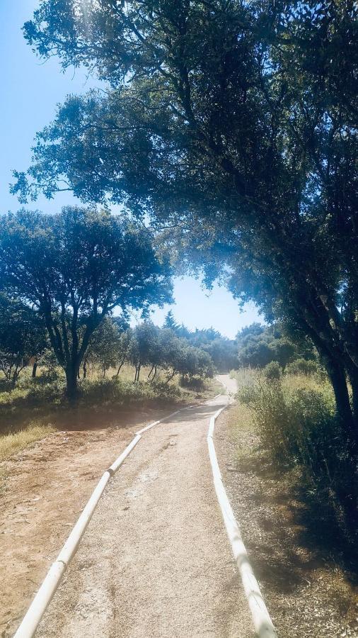 El Sitio De Pepe Villa *