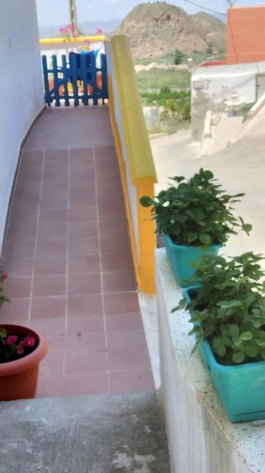 Apartment Casa Del Arte Mojacar