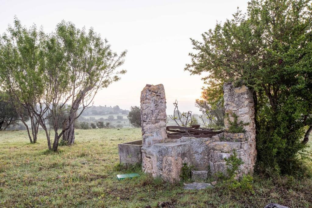 Mas Coquells, Preciosa Masia En Plena Natura *