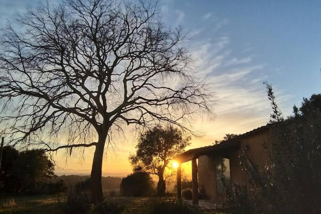 Villa Mas Coquells, Preciosa Masia En Plena Natura Vilanant