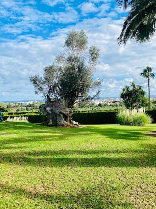 Na Penyal 7 Villa *