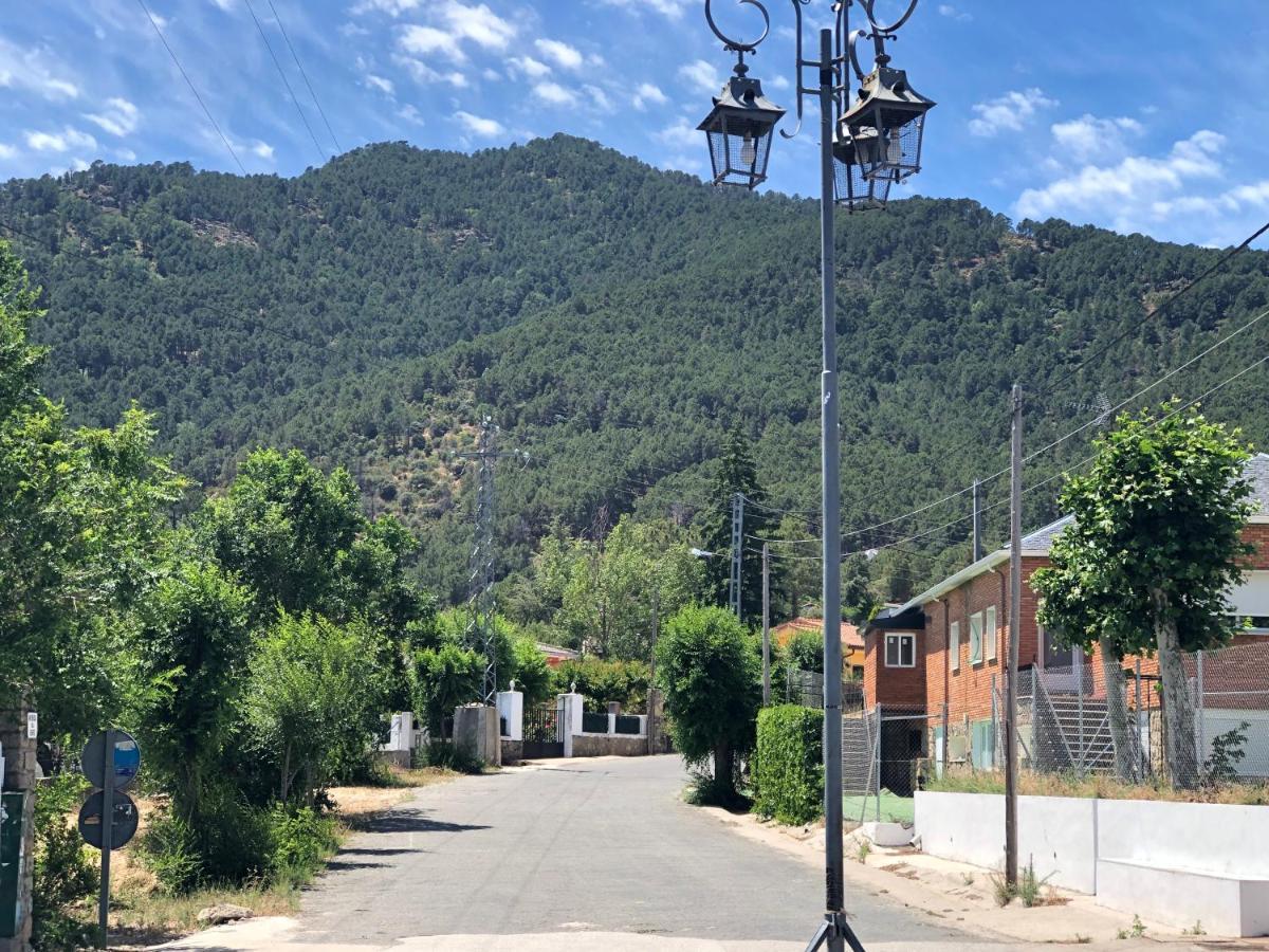 En El Corazón De La Sierra De Gredos, Pinar De La Atalaya-tiemblo * El Tiemblo