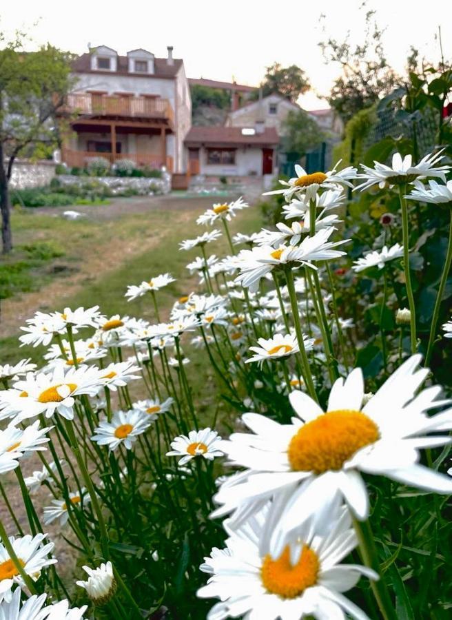 Gaia Holiday home *