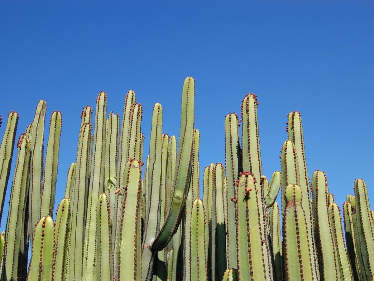 Lagos 20 By Villagrancanaria Villa *
