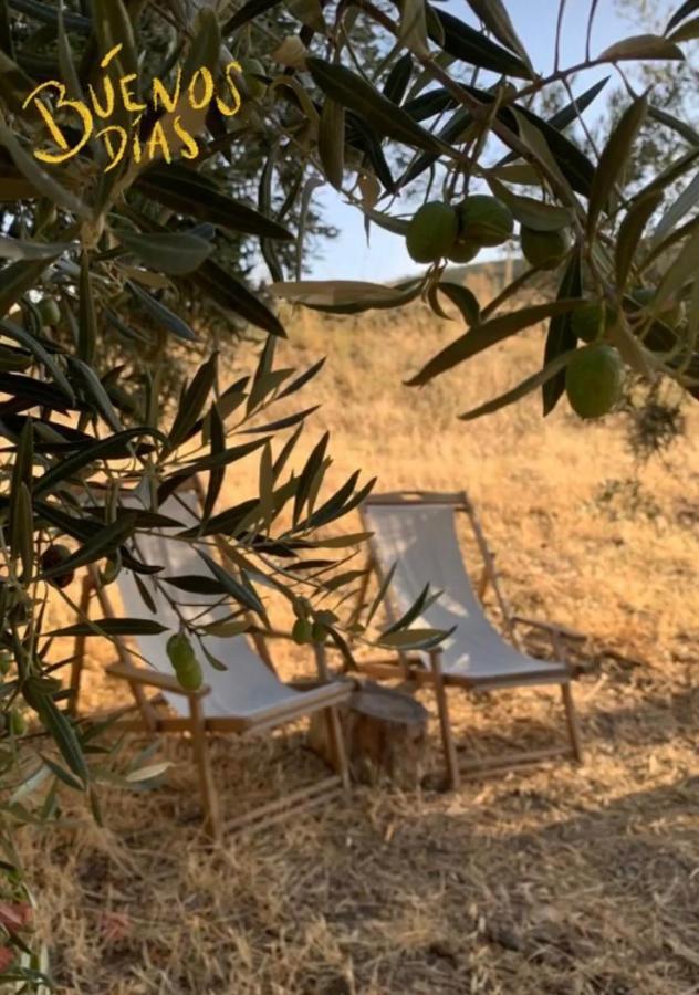 Tienda De Safari Almagro Luxury tent Montecorto