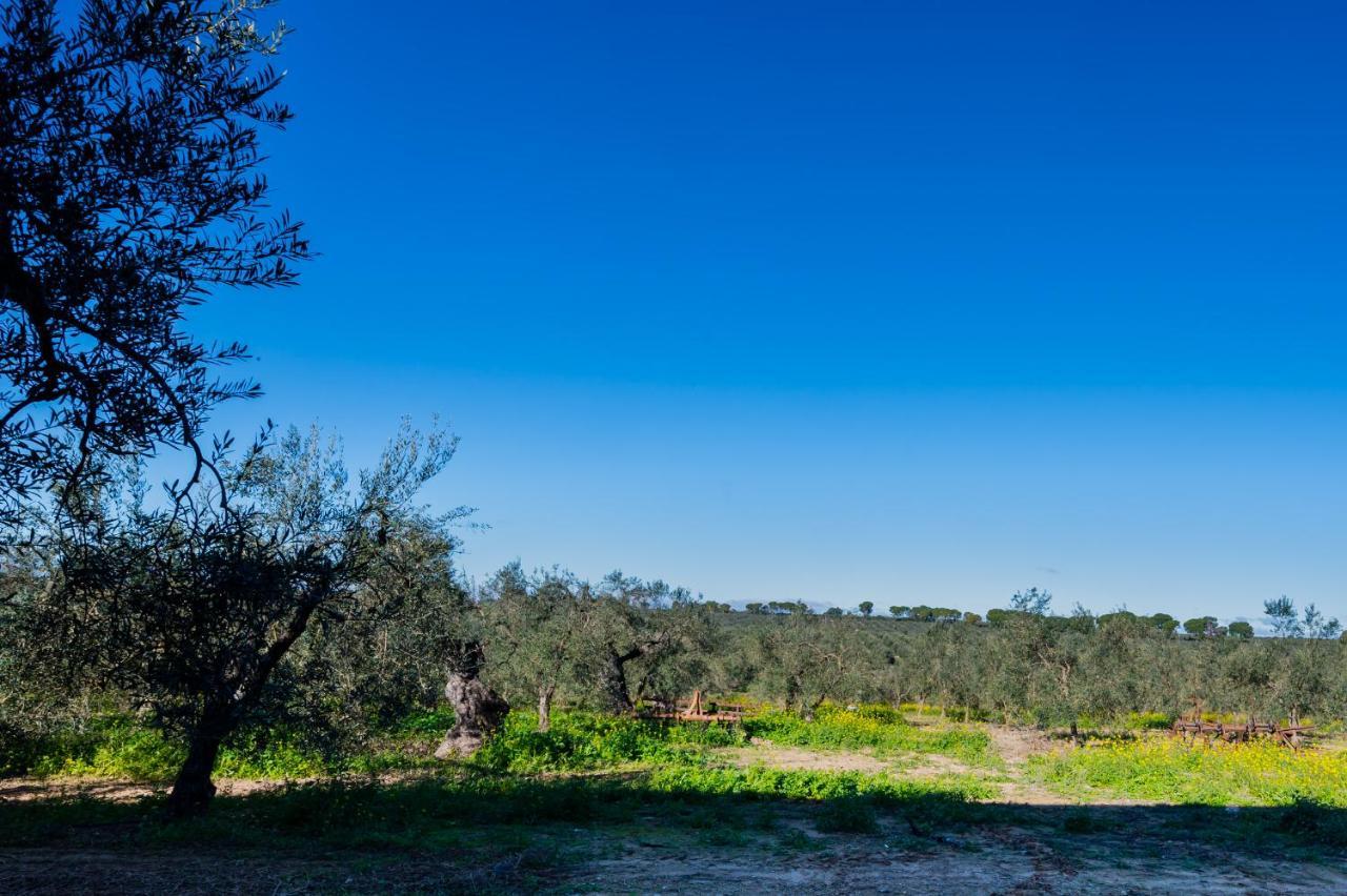 El Paraiso Del Olivar *
