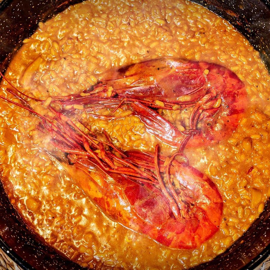 Iberum Illescas
