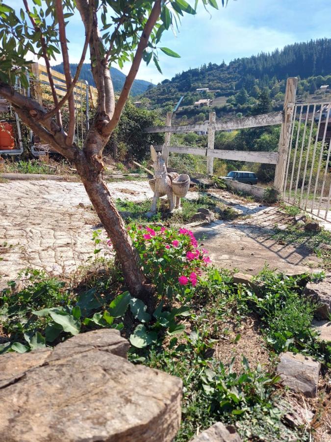 La Hacienda Del Campo Apartamento Potes