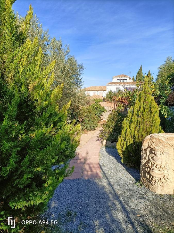 Morente Suena La Alhambra Apartment *