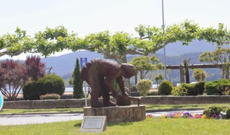 Hyp-marina , El Capricho. Sotomayor