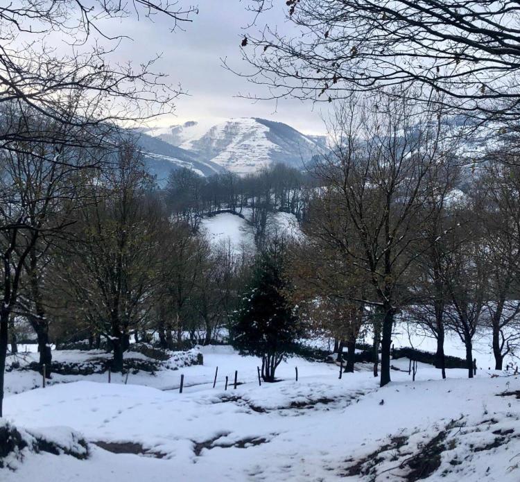 Сasa de vacaciones Casa Junto A Reserva Del Saja, Bosque Y Montaña *