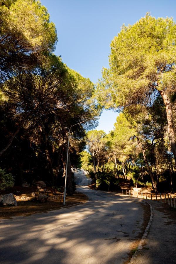Open View Pinetree Penthouse Apartamento