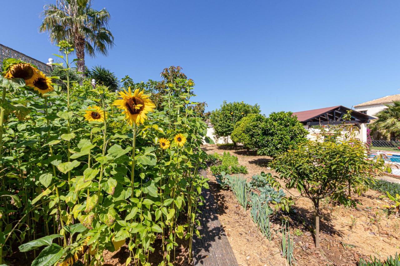 Villakarmyr Bed and breakfast *