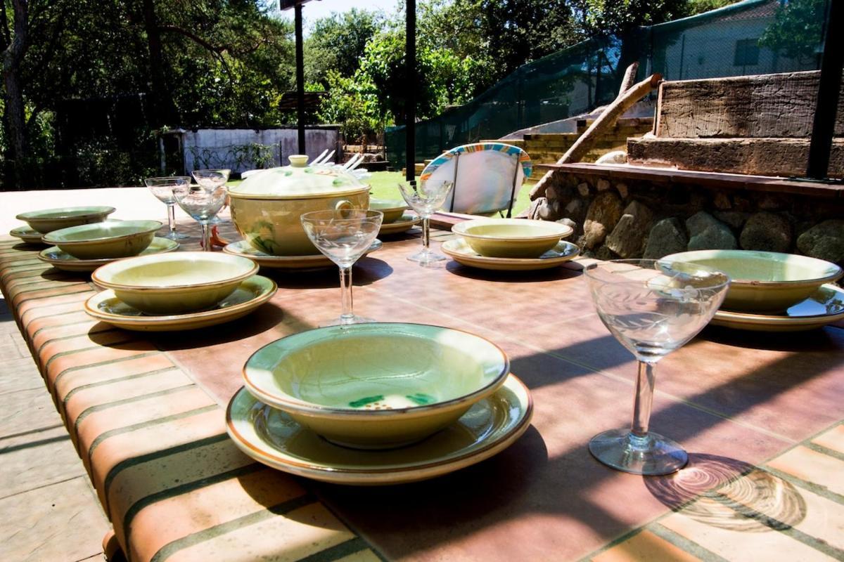 Villa Catalunya Casas Costa Brava With Private Pool & Spacious Garden Santa Coloma De Farners