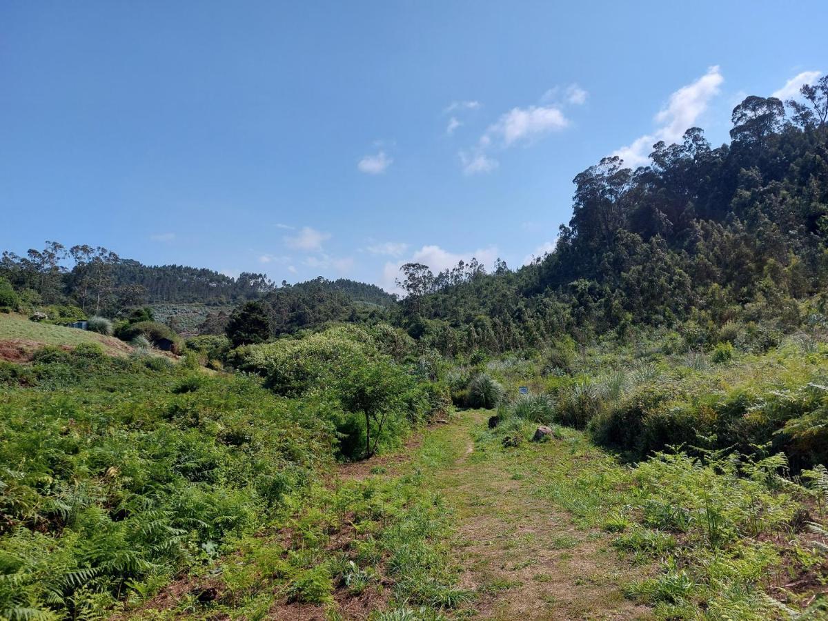 Сasa de vacaciones Casa El Perote Villaviciosa (Asturias)