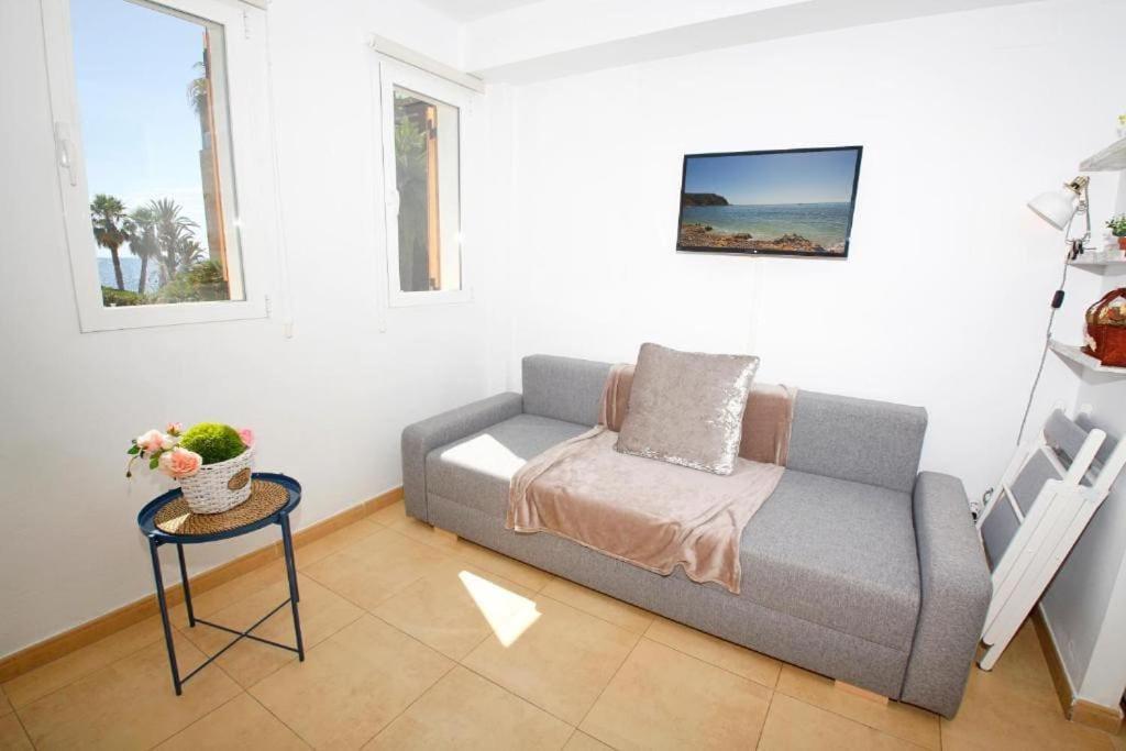 Wind Rose Study Apartamento *