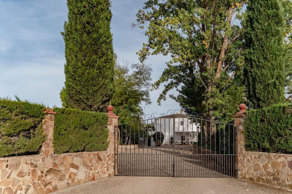 Casa Blanca