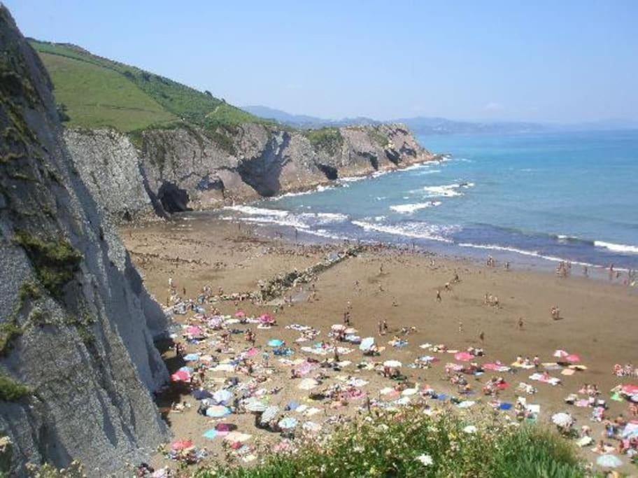 Danae Centro *