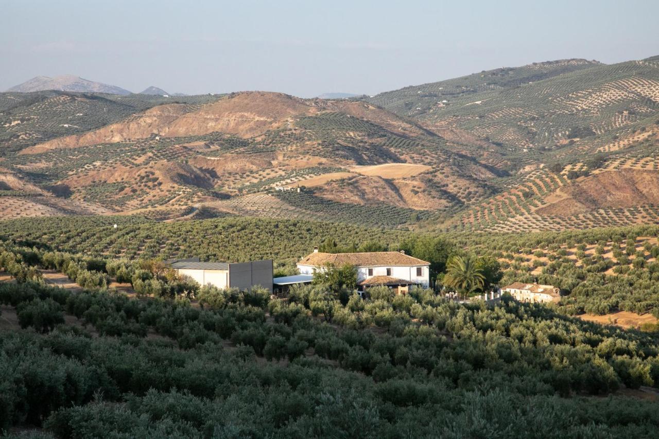 Cortijo El Segador Y El Capricho