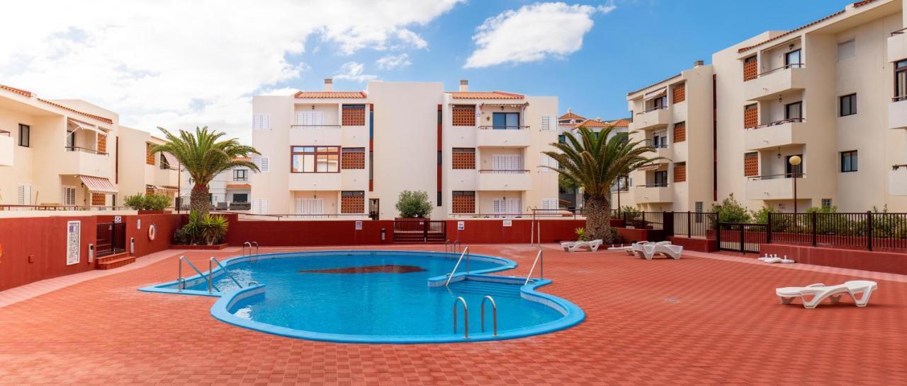 Palm Apartamento *