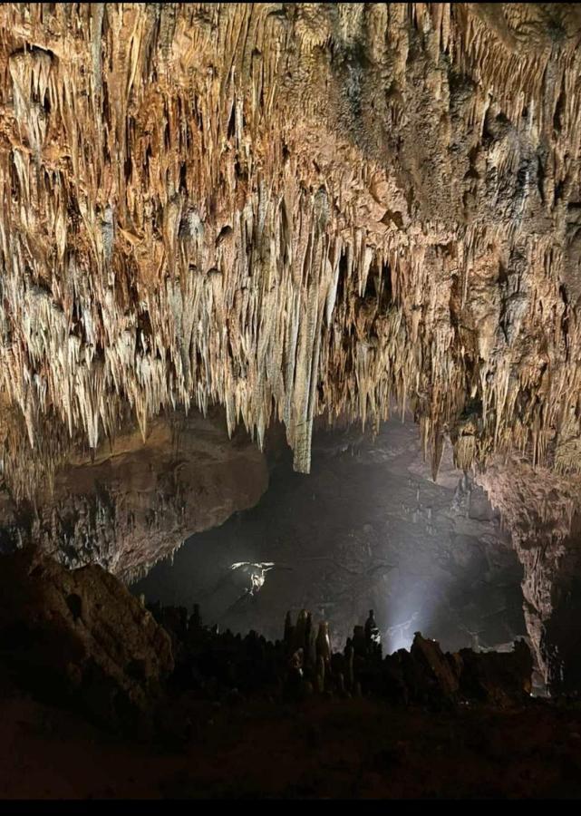 La Cuadra *