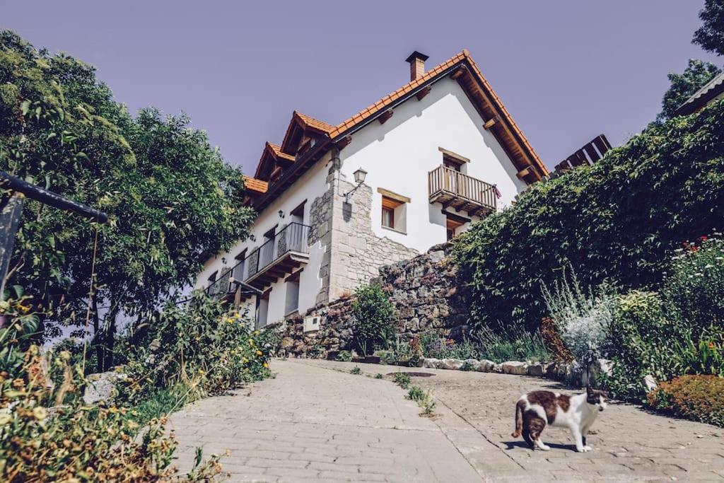 Enekoizar *