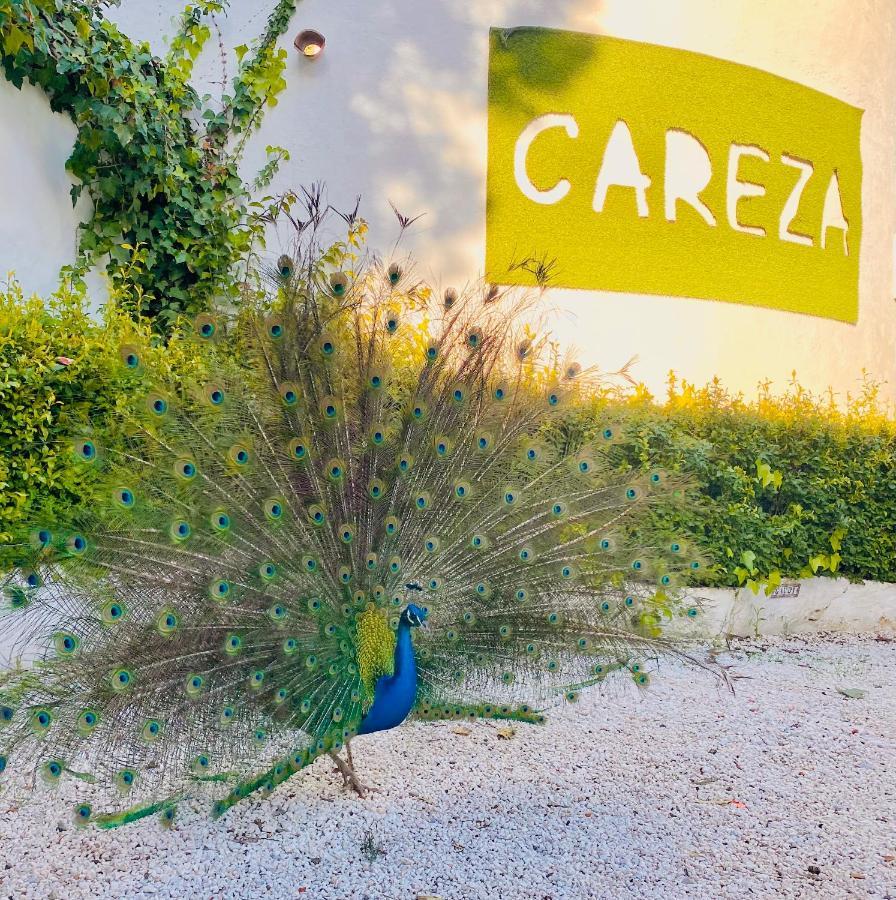 La Careza De - Adults Only *