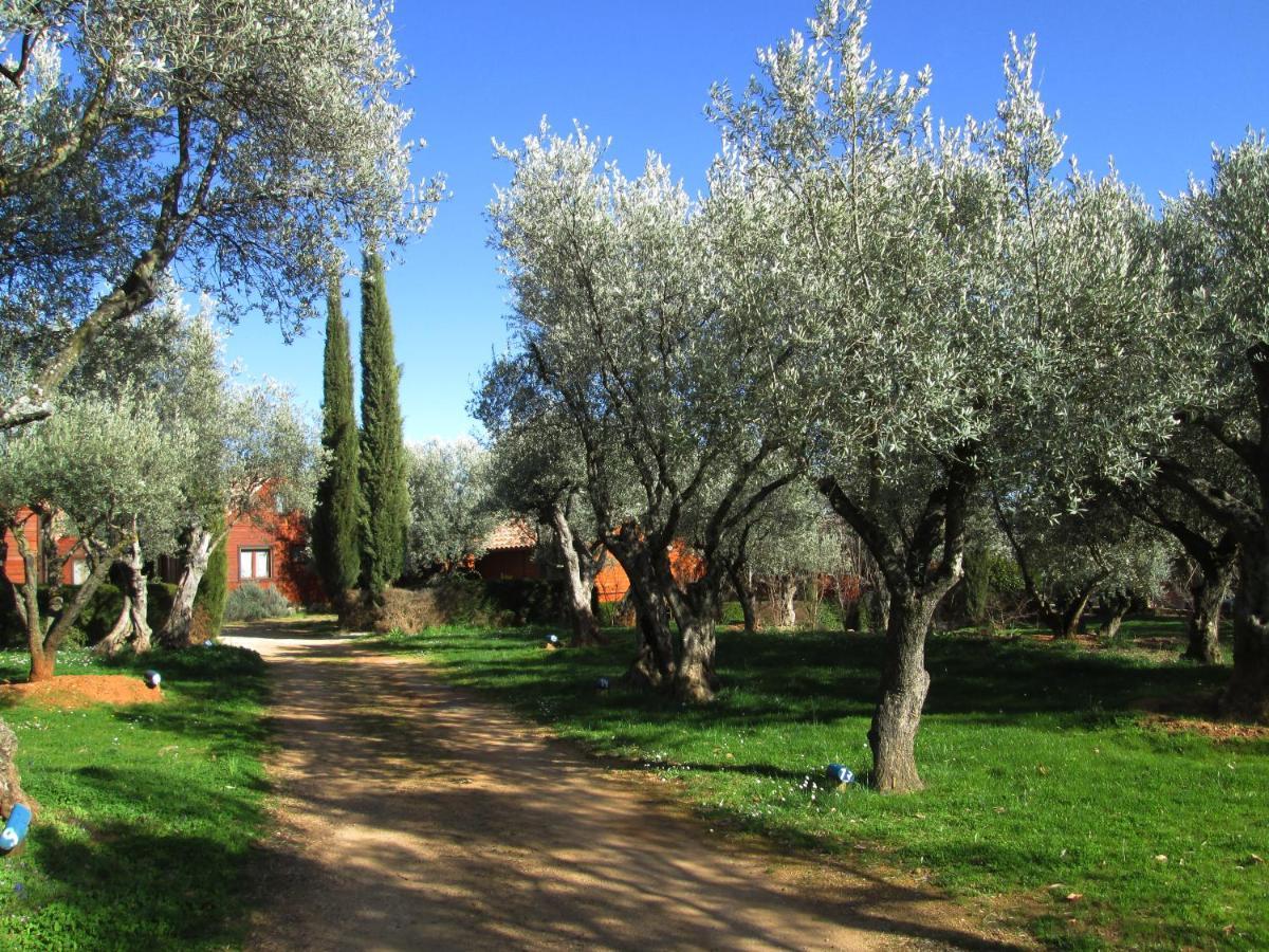 Camping Alquezar Camping