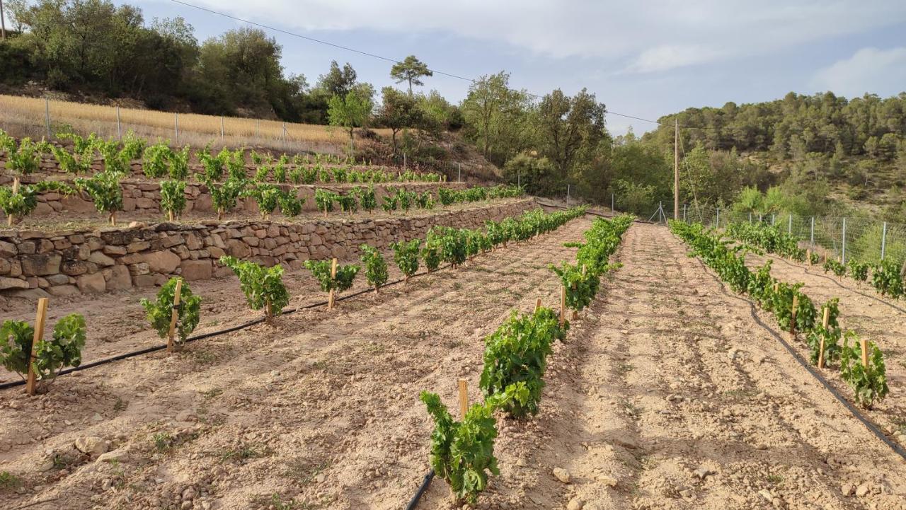 Cal Ros Bed & Breakfast Calonge de Segarra