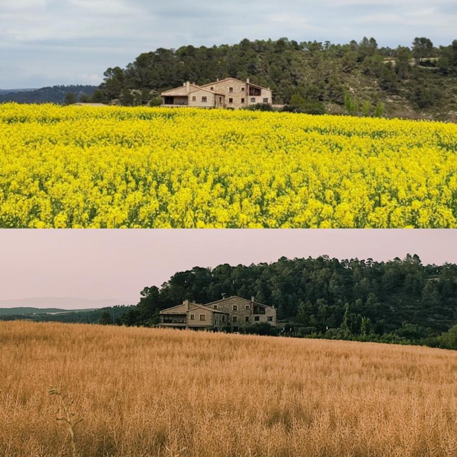 Cal Ros Bed & Breakfast