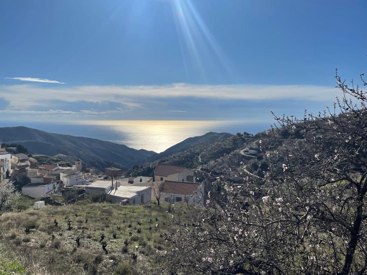 Casa Amigos - La Almendra Holiday home Sorvilan