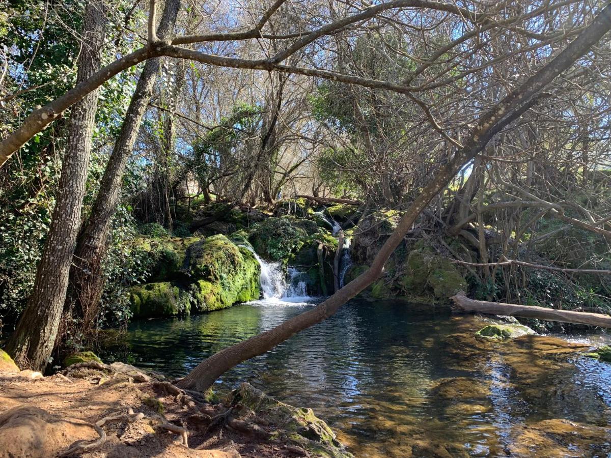 Casa rural Nacimiento Del Huéznar - Tomillo 17