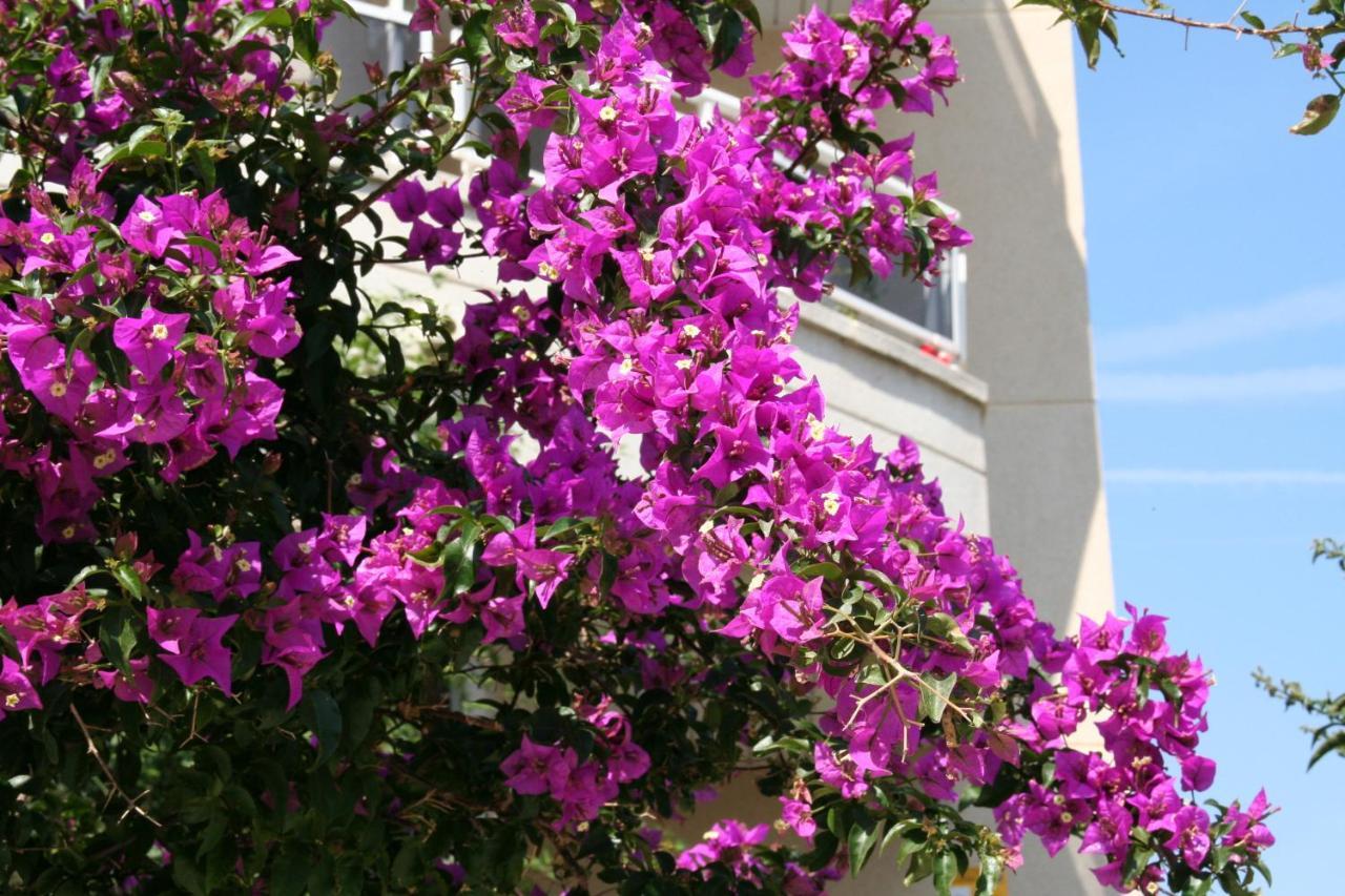 R22 Holiday home Calafell
